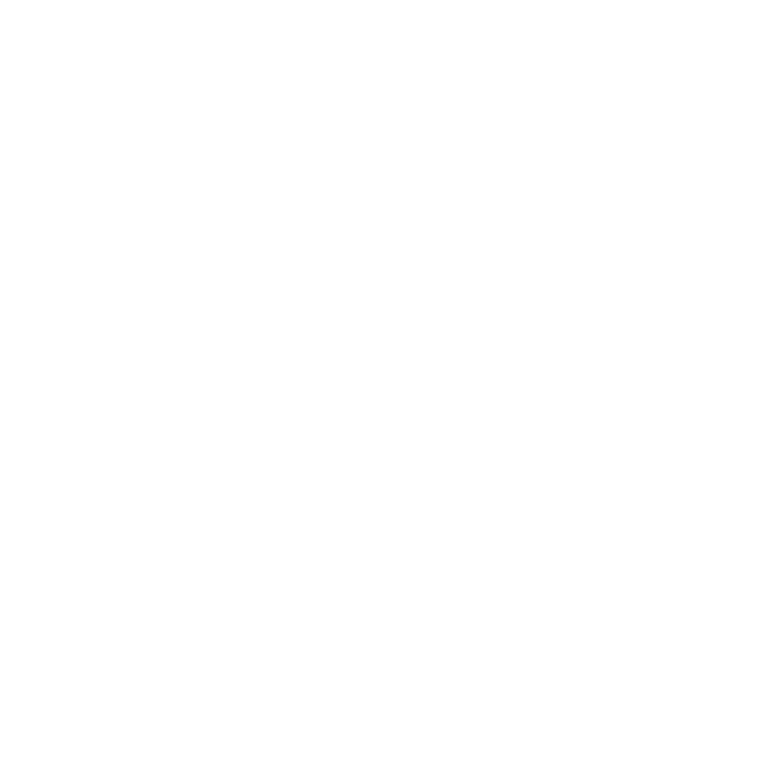 ornament 1 a.png